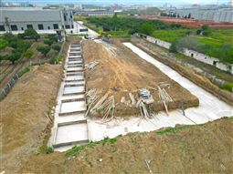 AZİM TAVUK / 251009