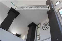 IMG_8151